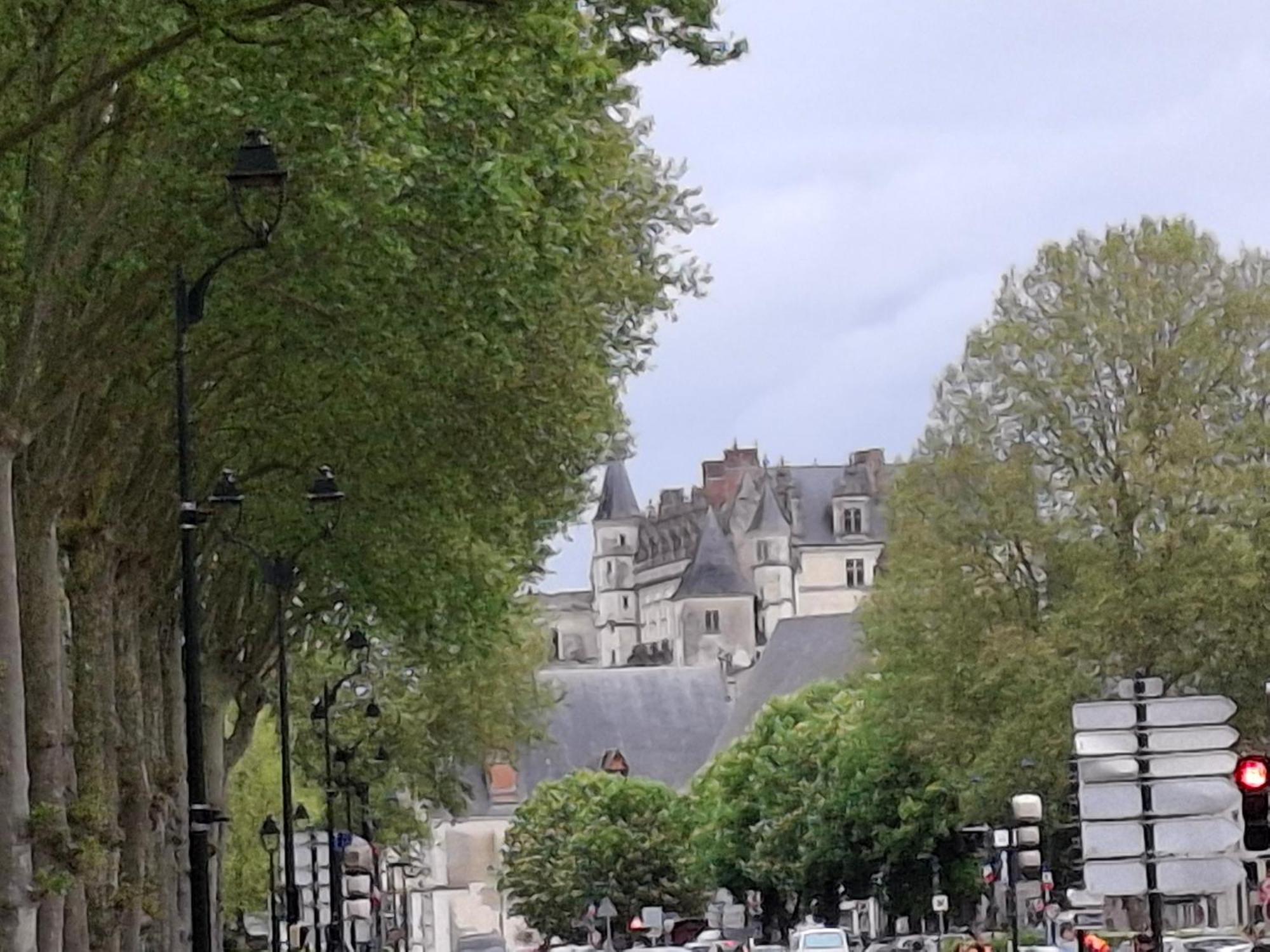 Escale Au Pied Du Chateau Amboise Ngoại thất bức ảnh